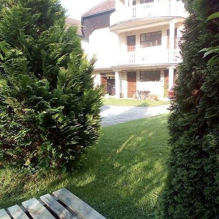 Guest House Aleksandra باغينا باستا المظهر الخارجي الصورة