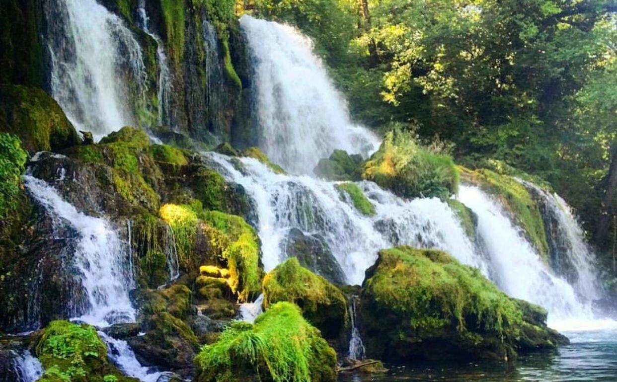 Guest House Aleksandra باغينا باستا المظهر الخارجي الصورة